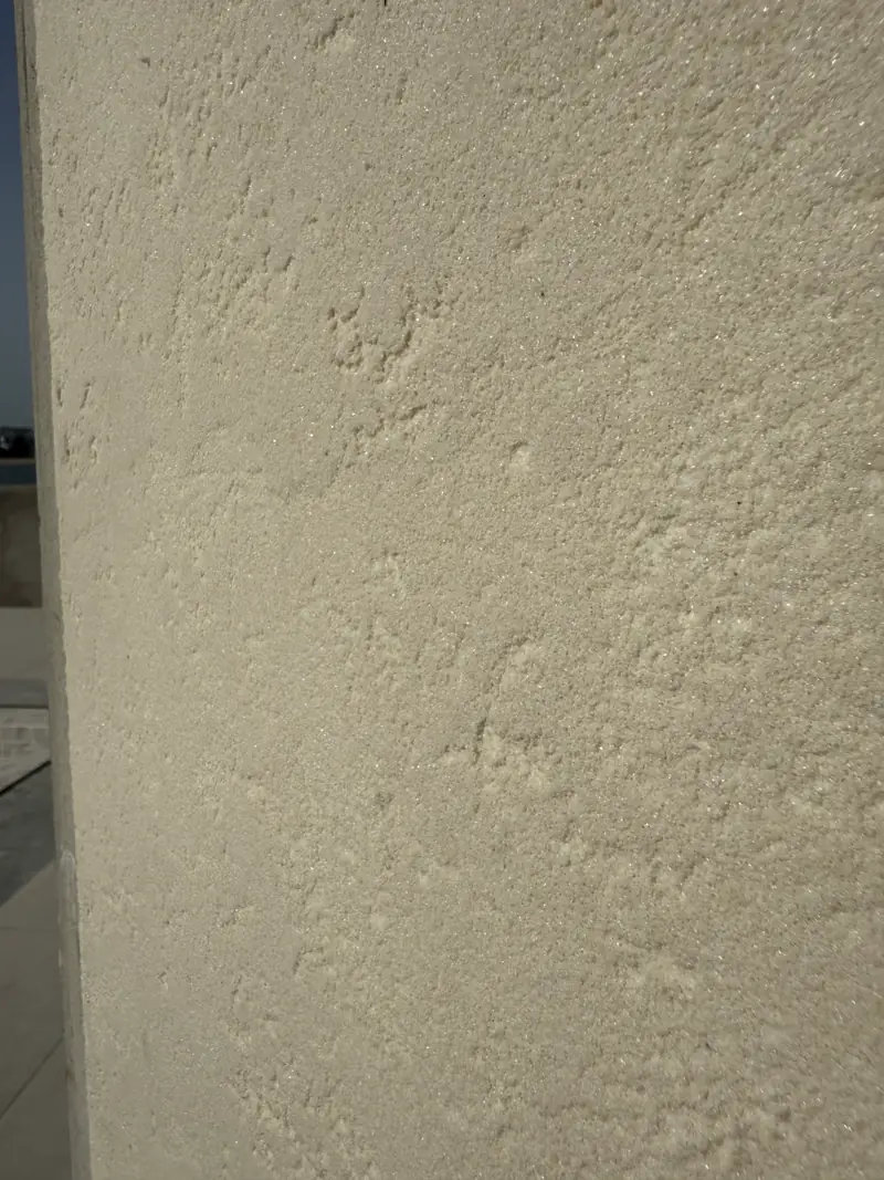 Wall paint detail showing organic texture